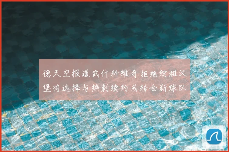 德天空报道武什科维奇拒绝续租汉堡将选择与热刺续约或转会新球队