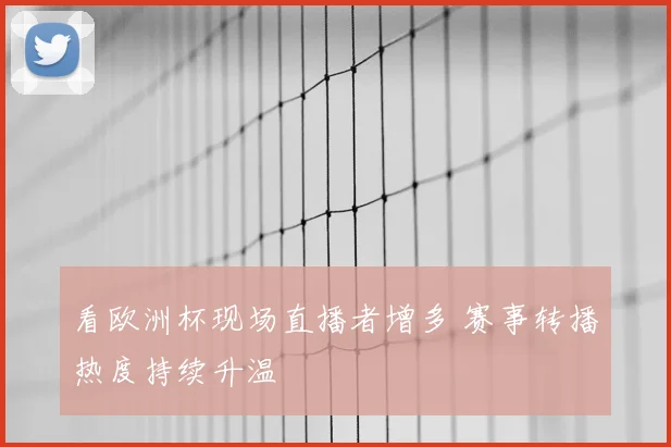 看欧洲杯现场直播者增多 赛事转播热度持续升温