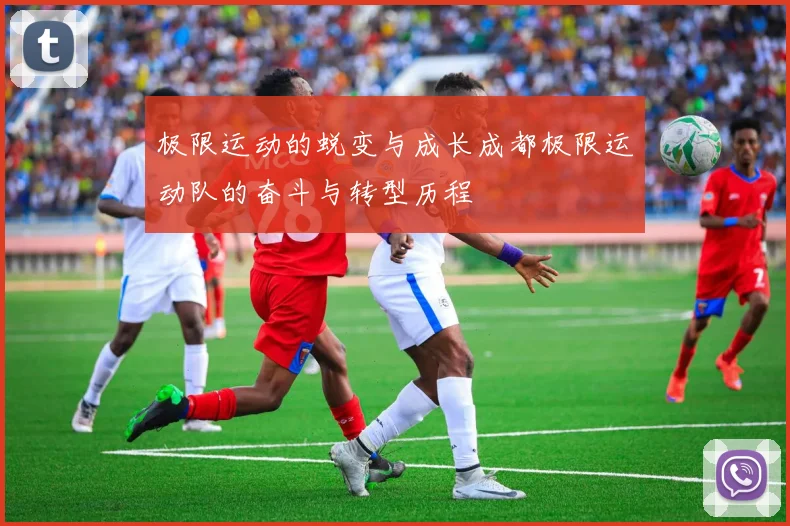 极限运动的蜕变与成长成都极限运动队的奋斗与转型历程
