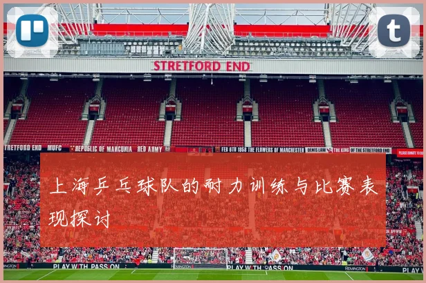 上海乒乓球队的耐力训练与比赛表现探讨