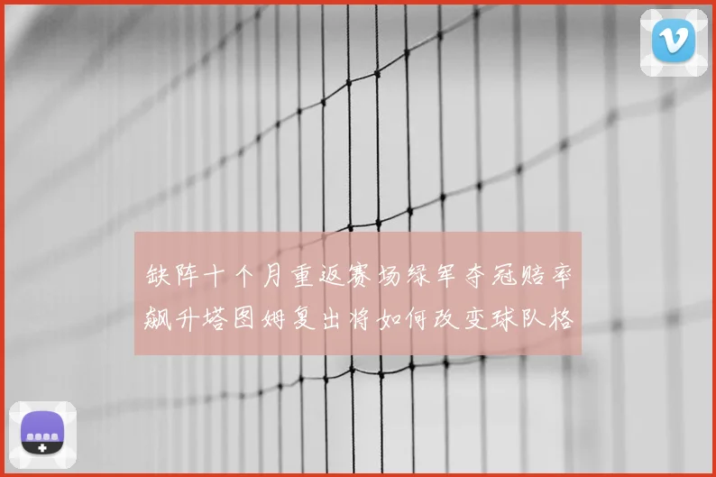 缺阵十个月重返赛场绿军夺冠赔率飙升塔图姆复出将如何改变球队格局