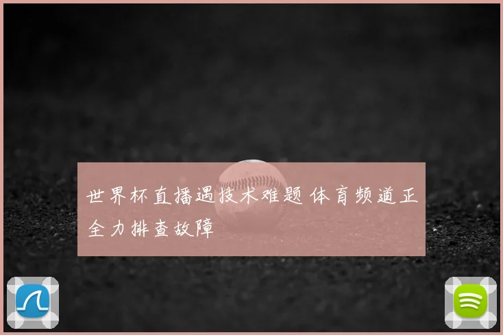 世界杯直播遇技术难题 体育频道正全力排查故障