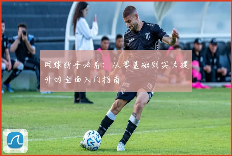 网球新手必看:从零基础到实力提升的全面入门指南