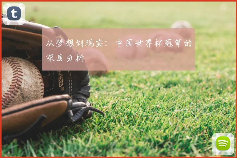 从梦想到现实:中国世界杯冠军的深度分析