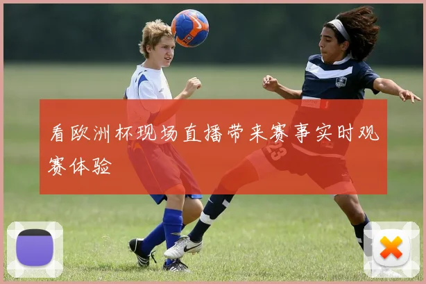 看欧洲杯现场直播带来赛事实时观赛体验