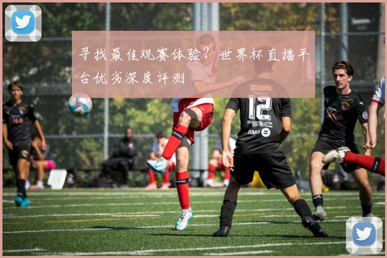 寻找最佳观赛体验?世界杯直播平台优劣深度评测