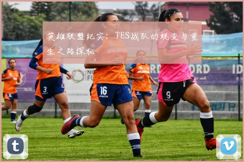 英雄联盟纪实：TES战队的蜕变与重生之路探秘