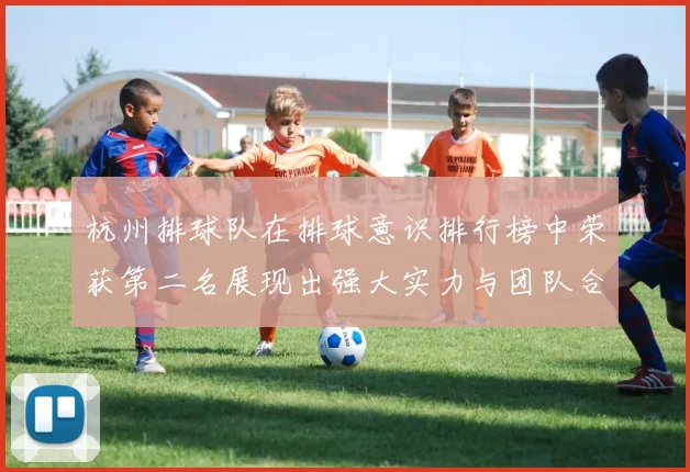 杭州排球队在排球意识排行榜中荣获第二名展现出强大实力与团队合作精神