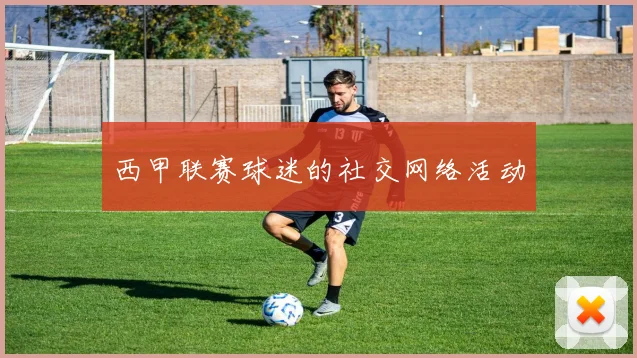 西甲联赛球迷的社交网络活动