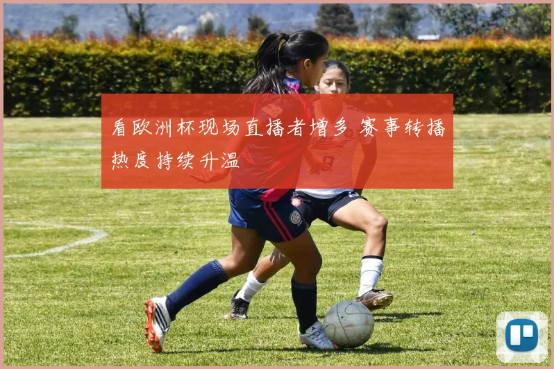 看欧洲杯现场直播者增多 赛事转播热度持续升温